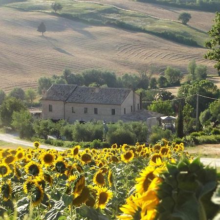 "La Casa Degli Ulivi Art B&B" Trecastelli 外观 照片