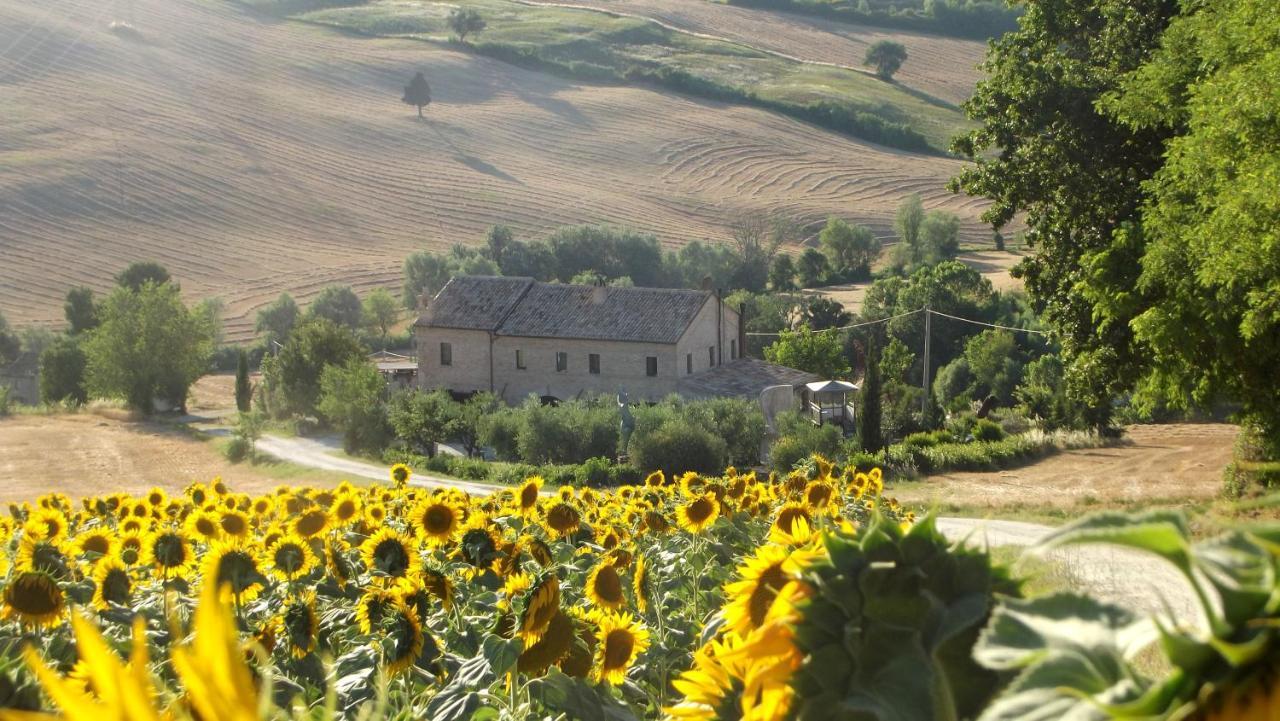 "La Casa Degli Ulivi Art B&B" Trecastelli 外观 照片