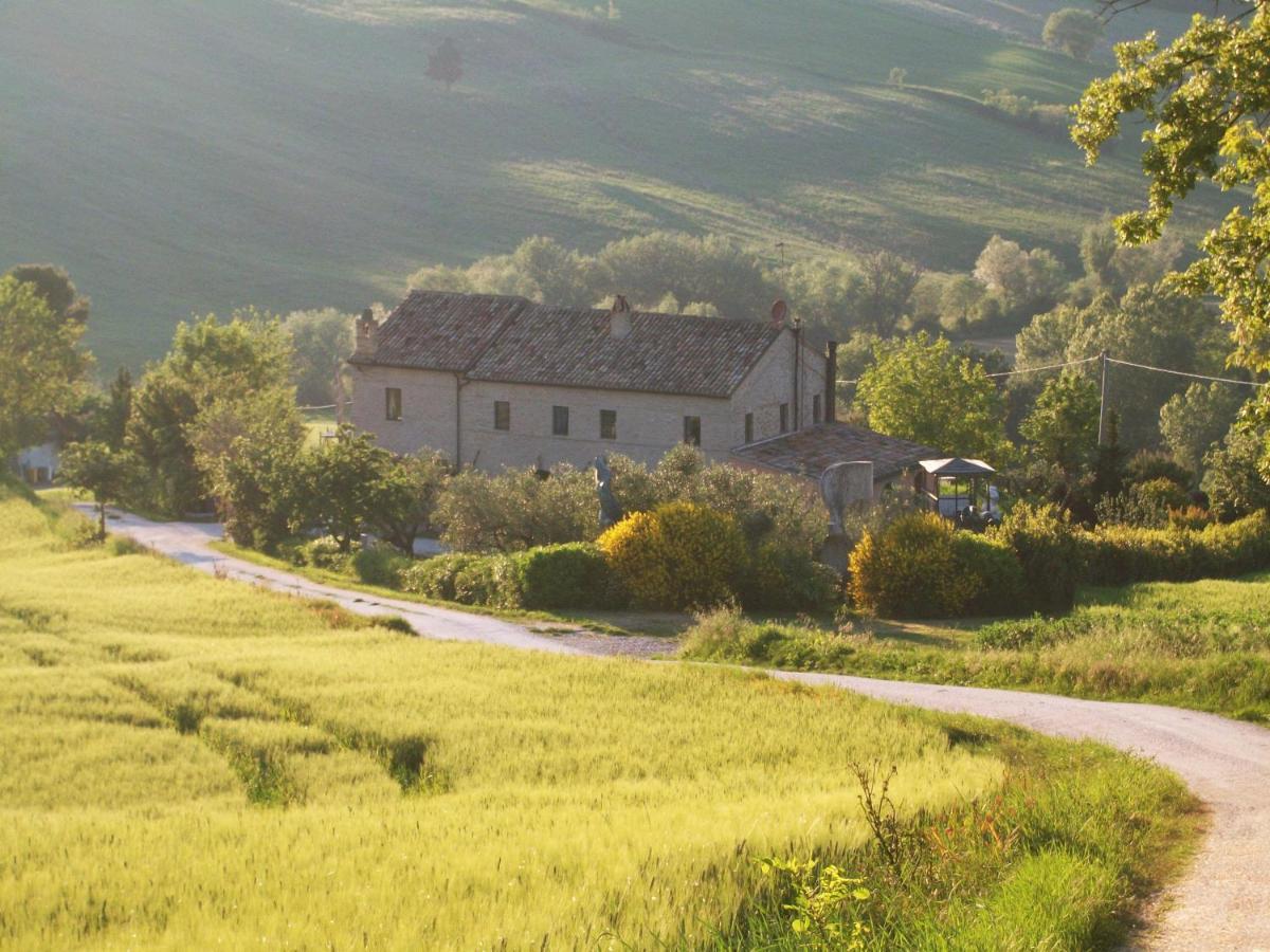 "La Casa Degli Ulivi Art B&B" Trecastelli 外观 照片