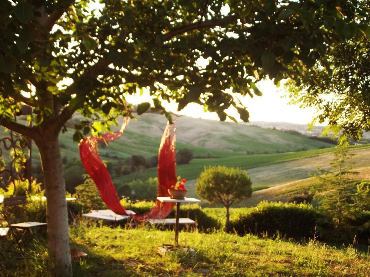 "La Casa Degli Ulivi Art B&B" Trecastelli 外观 照片