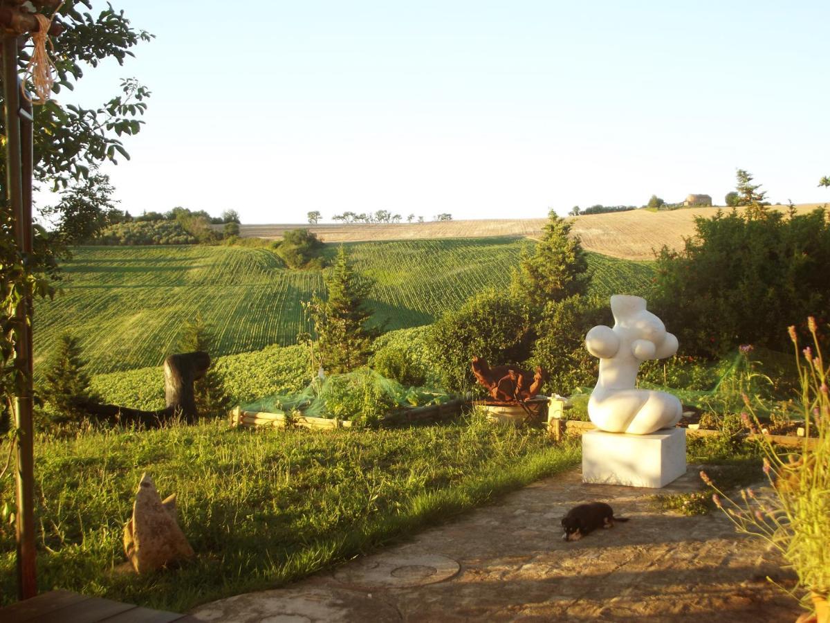 "La Casa Degli Ulivi Art B&B" Trecastelli 外观 照片