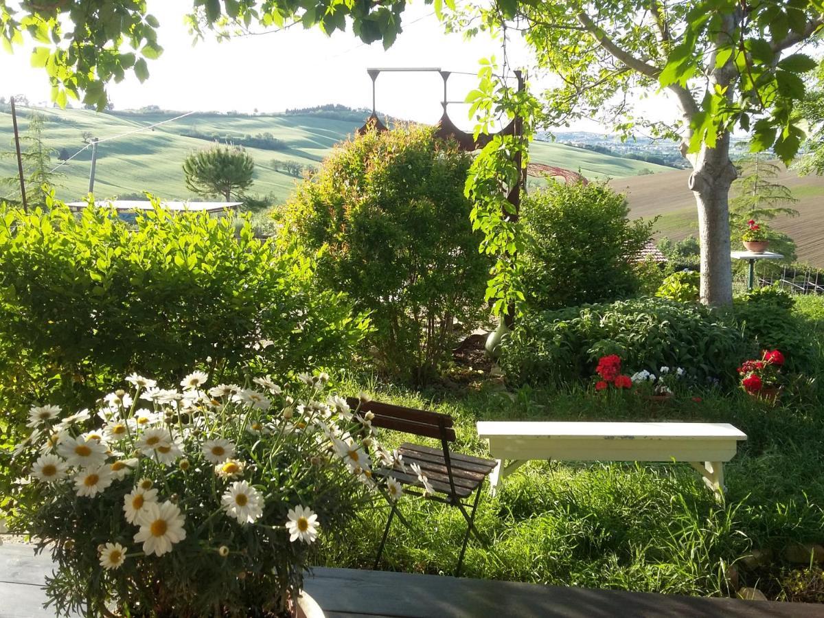 "La Casa Degli Ulivi Art B&B" Trecastelli 外观 照片