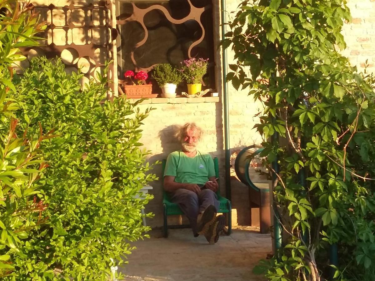"La Casa Degli Ulivi Art B&B" Trecastelli 外观 照片