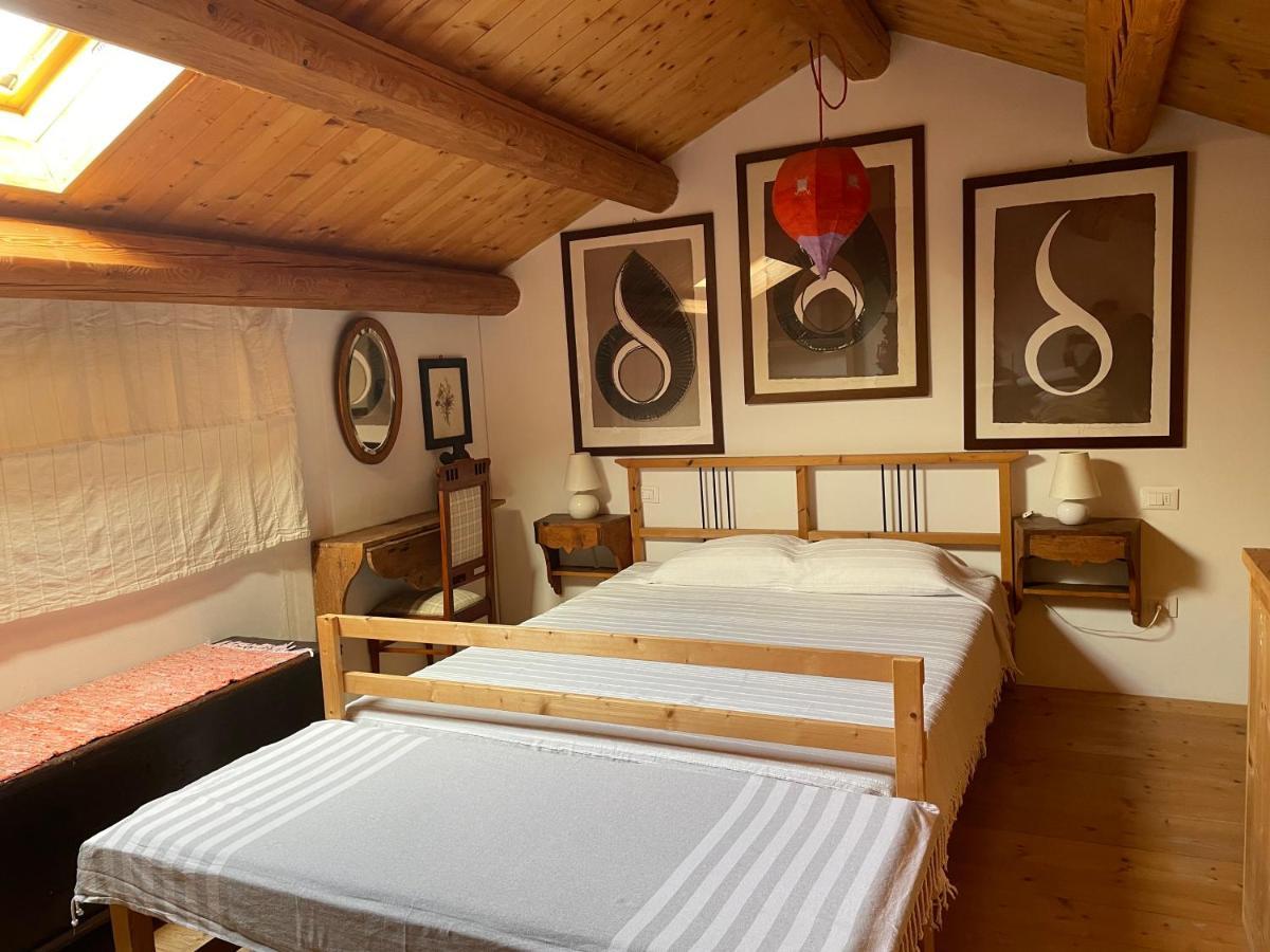 "La Casa Degli Ulivi Art B&B" Trecastelli 外观 照片