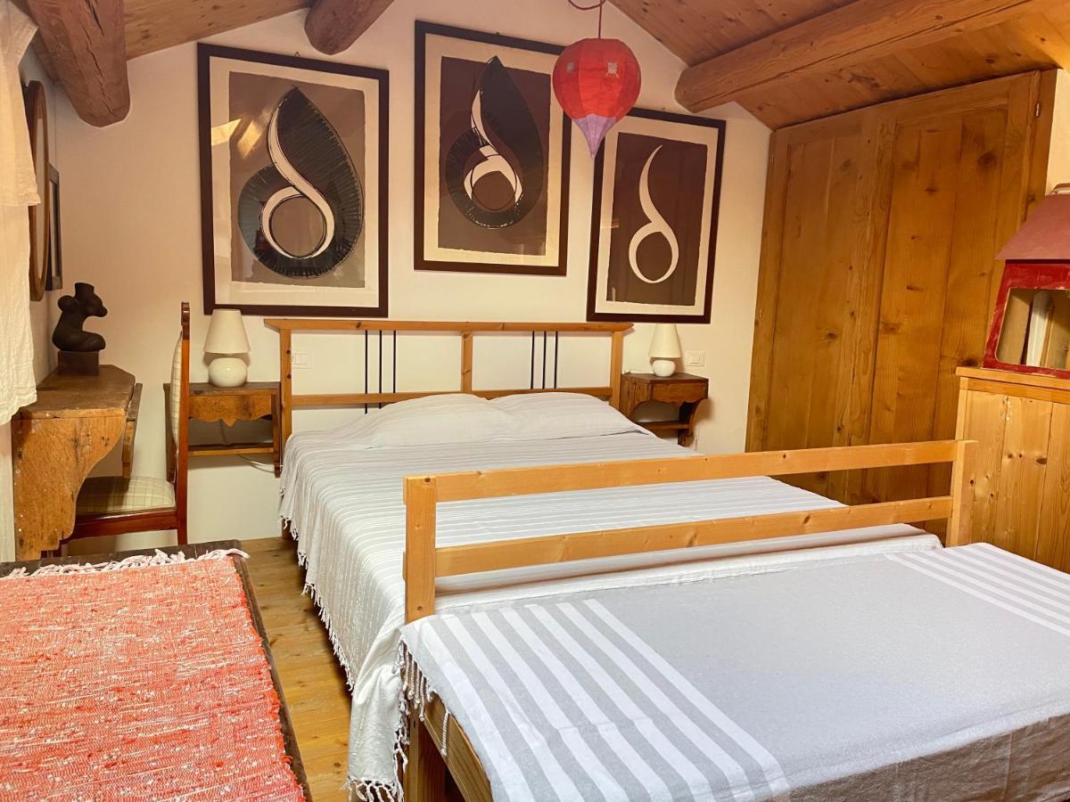 "La Casa Degli Ulivi Art B&B" Trecastelli 外观 照片