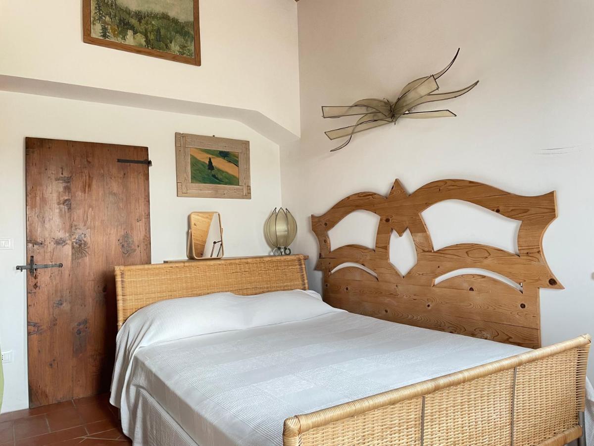 "La Casa Degli Ulivi Art B&B" Trecastelli 外观 照片